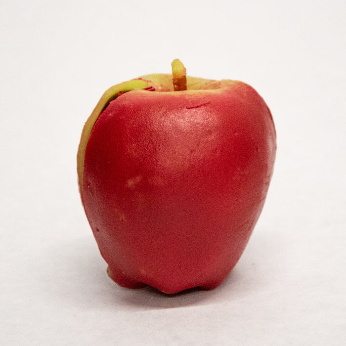 Apple Coin Purse