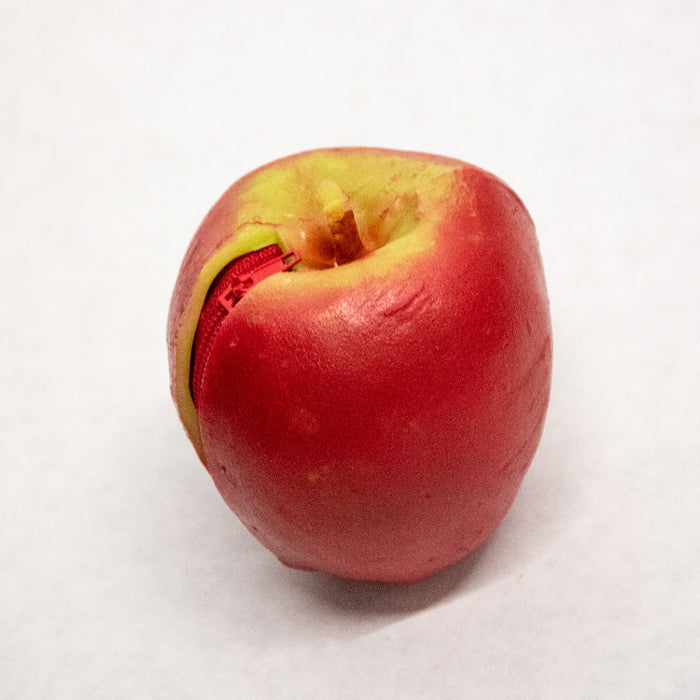 Apple Coin Purse