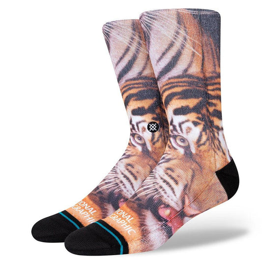Stance Sock Two Tigers Men Black